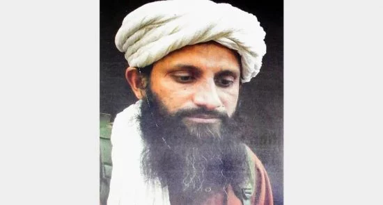 زعيم القاعدة 550x295 - مقتل زعيم القاعدة في الهند الذي كان يحمل الجنسية الباكستانية