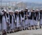 الصورة / عاقبة إطلاق سراح خمسة آلاف أسير من طالبان!