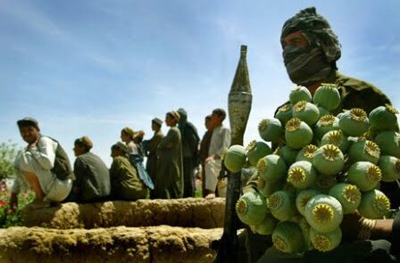 مواد مخدر 448x295 - رفضت حركة طالبان تصريحات الرئيس الطاجيكی بشأن تزايد تهريب المخدرات