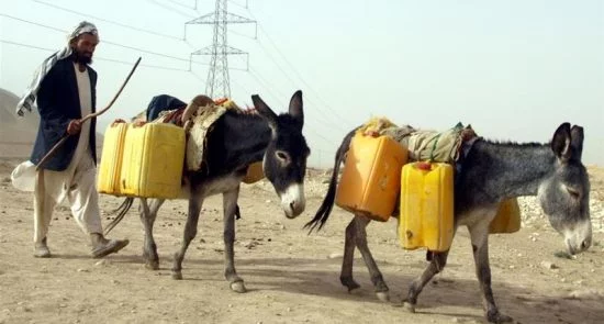 0cd8c2fcea224866ad30badb385638c3 18 550x295 - Water shortages worsen in Afghanistan as drought persists
