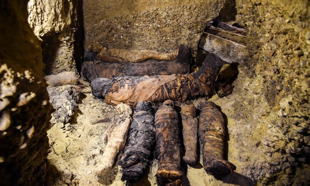 4928 1024x614 - Ptolemaic Era Mummies Unearthed