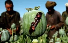 580f7d38b28a645d008b49da 1920 960 226x145 - Afghanistan Helmand the Main Province in Opium Production