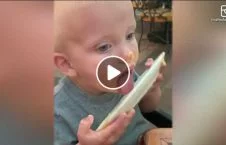 year old joyfully licking queso plate us 226x145 - This 1-year-old joyfully licking queso off plate is us all