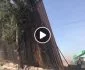 Strong winds push portion of US border wall into Mexico