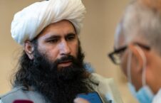 Taliban spokesman Naeem Wardak محمد نعیم، سخنگوی دفتر سیاسی طالبان 226x145 - Taliban: We do not recognize Israel in any way