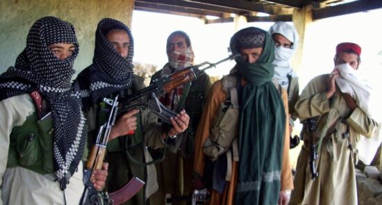 تحریک طالبان پاکستان 550x295 - Escalating Presence of Terrorist Groups on Afghanistan-Tajikistan Border Raises Concerns