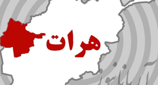 هرات 550x295 - Surge in Cancer Cases Reported in Herat Province