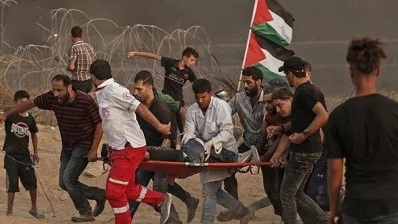 حقاني: په غزه کې د فلسطینیانو وژل بشري ضد جنایت دی