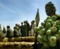 افغانستان د نړۍ ۸۰ سلنه مخدر مواد تولیدوي