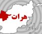 جزییات انفجار در منطقه حاجی عباس هرات از زبان یک مقام استخباراتی طالبان