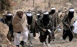 یکجا شدن 30 تن از افراد داعش با طالبان در ولایت فاریاب