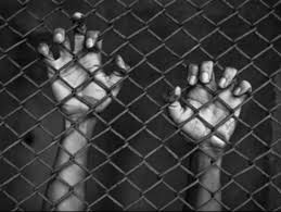 افشای جنایات امریکائیان در زندان سیاه!