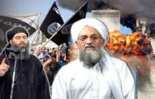 القاعده و داعش 226x145 - علاقه شدید سران القاعده و داعش به اظهارات ترمپ