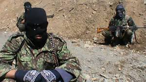هلاکت 12عضو ارشد داعش در سرحدات افغانستان و پاکستان