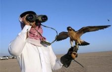 شکار غیر قانونی پرنده‌های کمیاب در جوزجان توسط شکارچی‌های خارجی