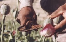 تاریخچه پیدایش موادمخدر درافغانستان