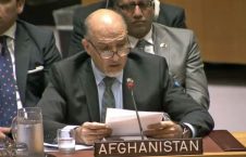 محمود صیقل: شورای امنیت طالبان را در لست گروه‌های تروریستی قرار دهد