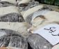 کشف و ضبط ۷۰ کیلو گرام تریاک توسط پولیس مبارزه علیه مواد مخدر جوزجان