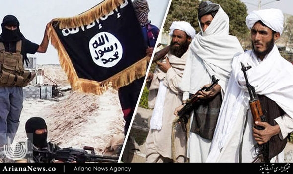 طالبان و داعش