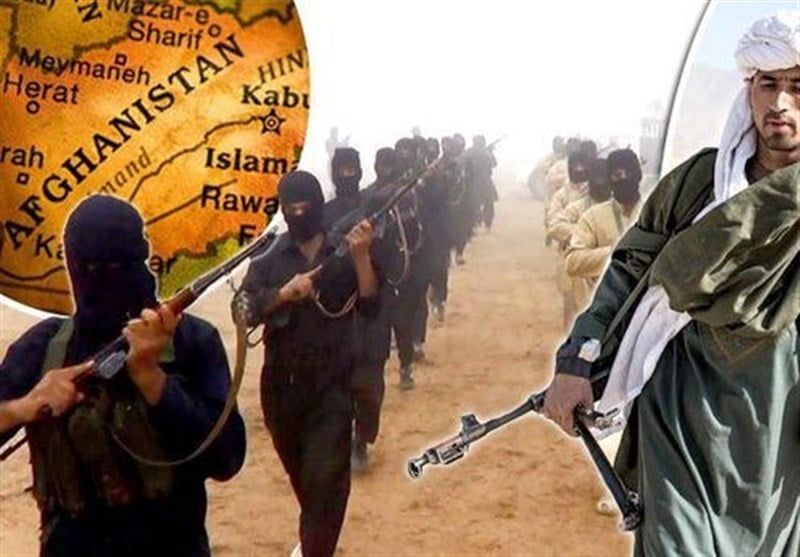 داعش طالبان