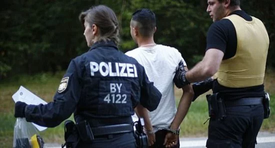 پولیس جرمنی باشنده افغان را به همراه یک بکس سلاح سرد بازداشت کرد