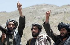 طالبان 226x145 - هشدار طالبان به مردم پروان؛ مقامات امنیتی: طالبان توانایی مختل کردن انتخابات را ندارند