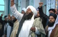 درخواست علمای پکتیا از طالبان