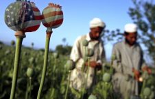 مواد مخدر 226x145 - اذعان امریکا به یک ناکامی دیگر در افغانستان