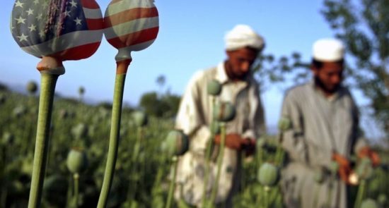 مواد مخدر 550x295 - اذعان امریکا به یک ناکامی دیگر در افغانستان