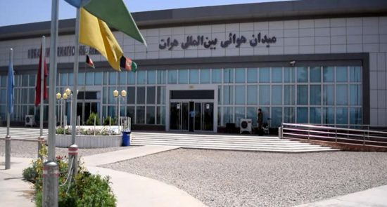 میدان هوایی هرات 550x295 - کشف مواد مخدر از بطن‌های مسافران در میدان هوایی هرات!