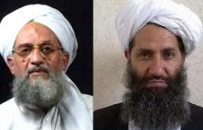 القاعده طالبان 226x145 - بی توجهی امریکا به القاعده و روابط آن با طالبان افغانستان