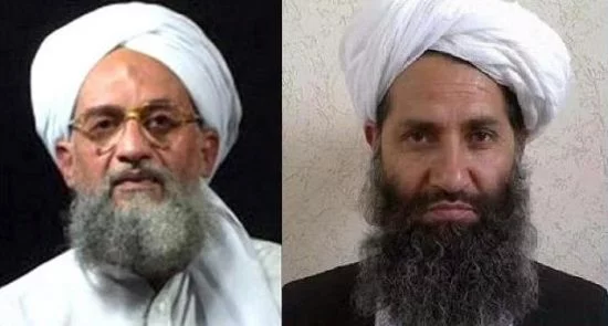 تجدید بیعت رهبر القاعده با رهبر طالبان