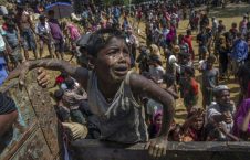 سازمان ملل: مسلمانان روهینگیا را فراموش نکنید
