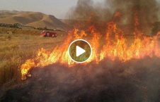 ویدیو زمین دالاس امریکا آتش سوخت 226x145 - ویدیو/ زمین های زراعی دالاس امریکا در آتش سوخت