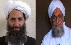 القاعده و طالبان 226x145 - اتحاد مستحکم القاعده و طالبان در افغانستان