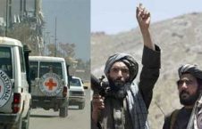 طالبان صلیب سرخ 226x145 - گلایه طالبان از کمیته بین‌المللی صلیب سرخ!