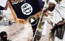 ویدیو/ تسلیم شدن جنگجویان داعش در جوزجان به طالبان