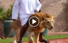 ویدیو/ حیوانات خانگی عجیب در قطر!
