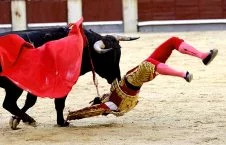 ضربات وحشتناک گاو وحشی به گاوباز هسپانیایی! + تصاویر(18+)