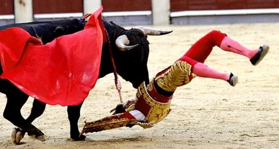 ضربات وحشتناک گاو وحشی به گاوباز هسپانیایی! + تصاویر(18+)