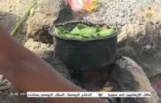 تصاویر/ اطفال یمن از فرط گرسنگی برگ درخت می‌خورند!