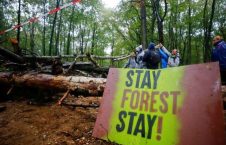 تصاویر/ اعتراض به تخریب جنگل در جرمنی‎