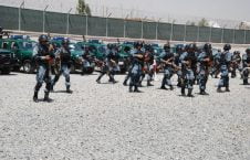 اعلام احضارات درجه یک به تمام نیروهای امنیتی و دفاعی افغانستان