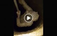 ویدیو/ خارج کردن مرد گلی از چاه 25 متری!
