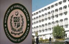 وزارت امور خارجه پاکستان 226x145 - پاکستان تصمیم امریکا درباره جولان سوریه را به شدت محکوم کرد