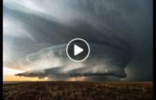 ویدیو طوفان شدید تگزاس 226x145 - ویدیو/ وقوع طوفان شدید در تگزاس