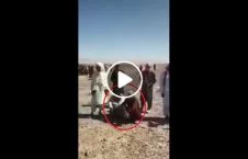 ویدیو/ گوشه ای از عدالت طالبانی!