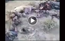 ویدیو/ اجساد قطعه سرخ طالبان و مزدوران پاکستان در غزنی