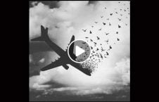ویدیو برخورد پرندگان با طیاره هند 226x145 - ویدیو/ برخورد عجیب پرندگان با طیاره جنگی هندی