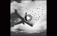ویدیو/ برخورد عجیب پرندگان با طیاره جنگی هندی